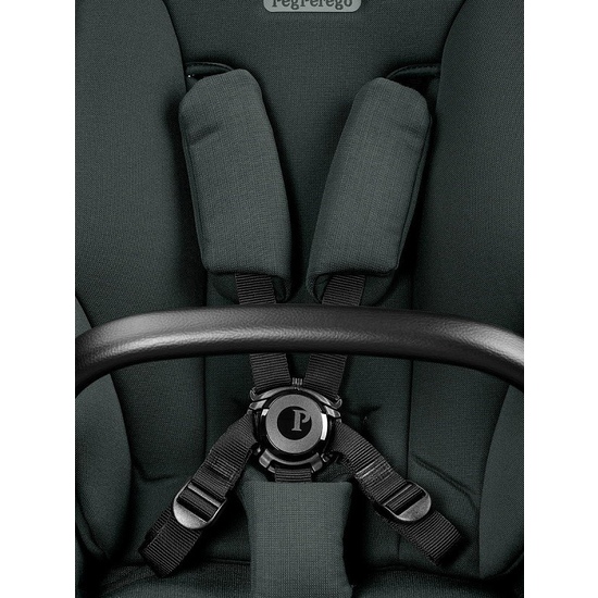 Коляска 2 в 1 Peg Perego Veloce TC Belvedere Metal New - 17